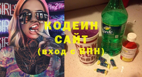 мет Инта