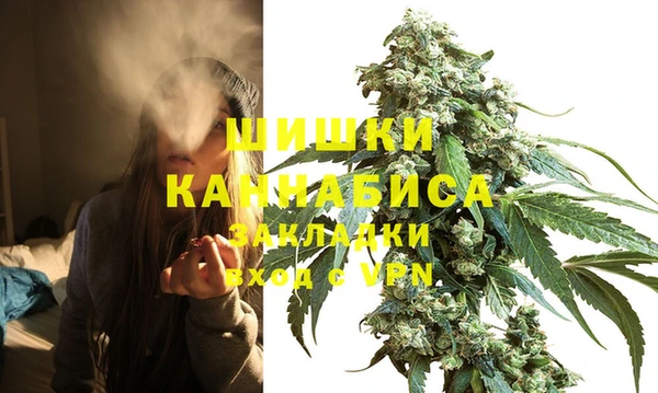 мет Инта