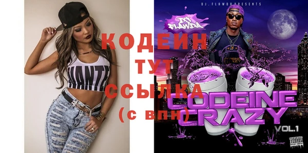 мет Инта
