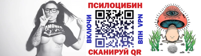Галлюциногенные грибы мицелий  Купить где  Беломорск 